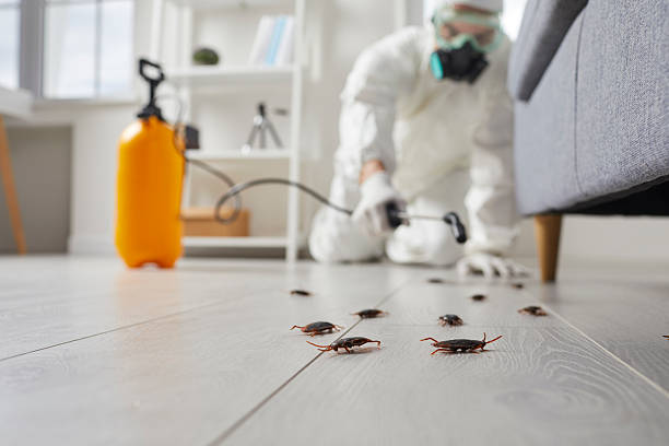 Trusted Termite Control service in Merriam, KS - Nex Pest Control