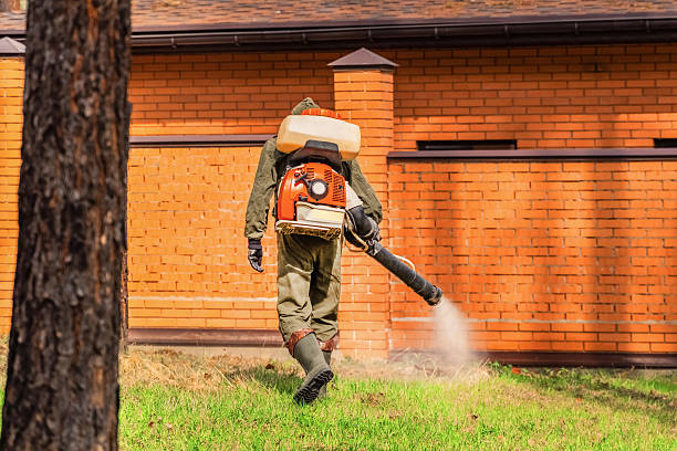 Trusted Bed Bug Control service in Merriam, KS - Nex Pest Control